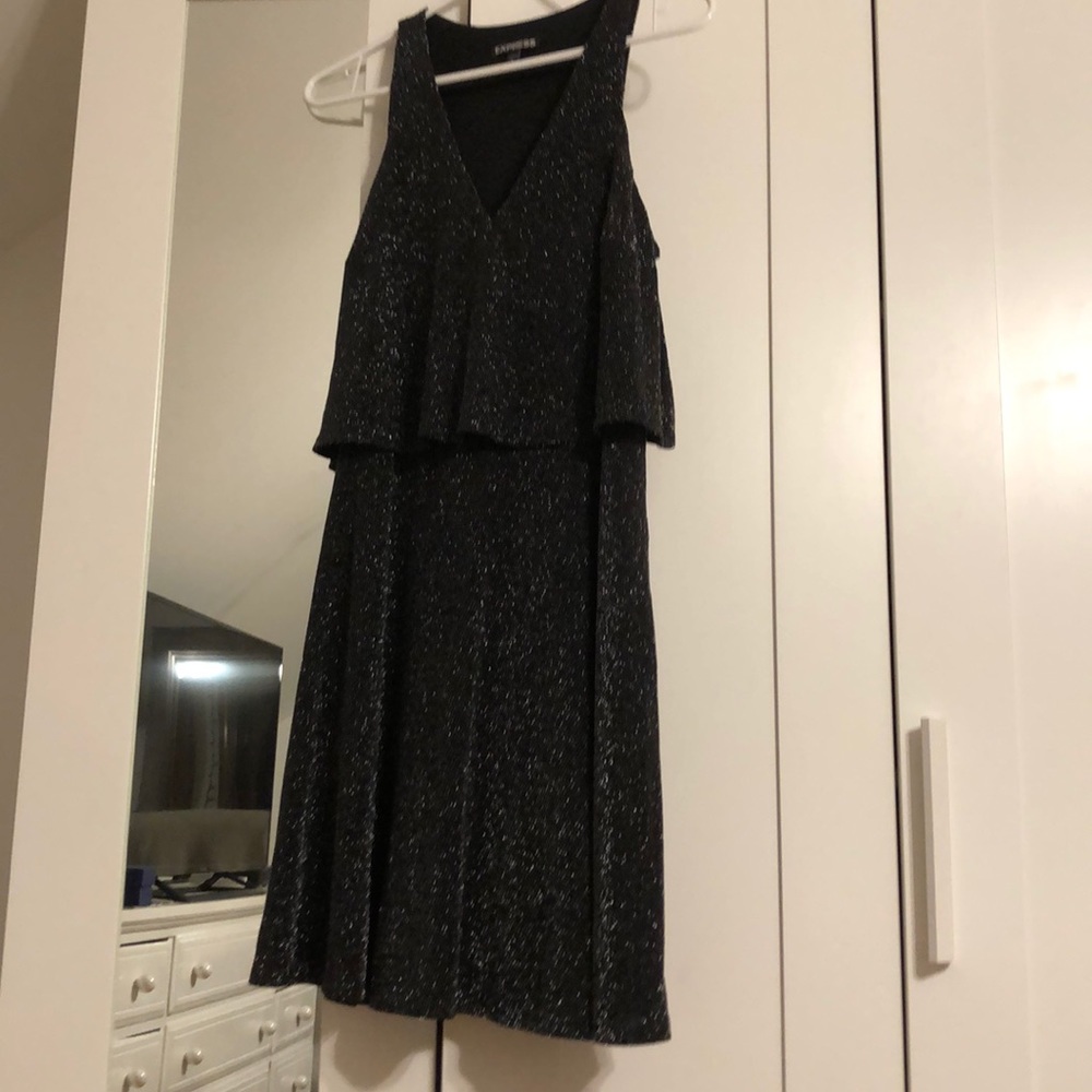 Express Sparkly Dress